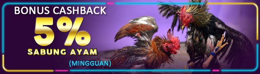 Promo Bonus Cash Back Mingguan Sabung Ayam